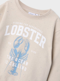 NAME IT Sweatshirt Fabian Peyote
